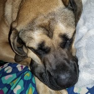 Meet your Posher, Tara